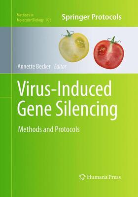 Becker |  Virus-Induced Gene Silencing | Buch |  Sack Fachmedien