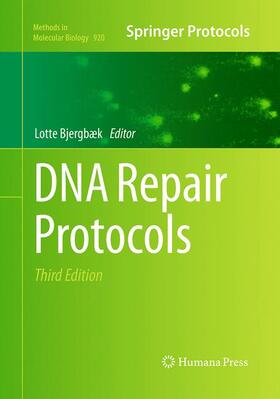 Bjergbæk |  DNA Repair Protocols | Buch |  Sack Fachmedien