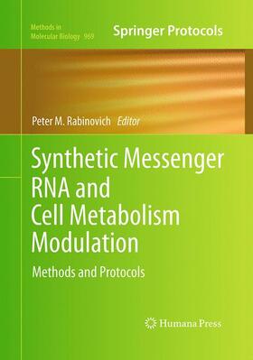 Rabinovich |  Synthetic Messenger RNA and Cell Metabolism Modulation | Buch |  Sack Fachmedien