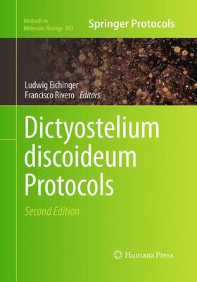 Rivero / Eichinger |  Dictyostelium discoideum Protocols | Buch |  Sack Fachmedien