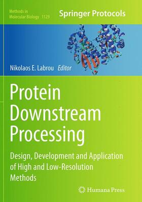 Labrou |  Protein Downstream Processing | Buch |  Sack Fachmedien