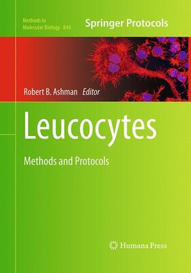 Ashman | Leucocytes | Buch | 978-1-4939-6231-0 | sack.de