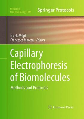 Maccari / Volpi |  Capillary Electrophoresis of Biomolecules | Buch |  Sack Fachmedien