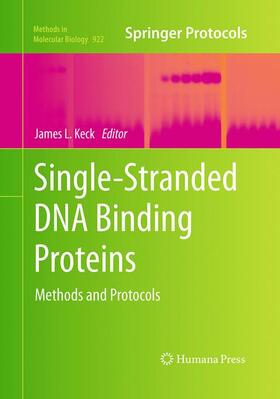 Keck |  Single-Stranded DNA Binding Proteins | Buch |  Sack Fachmedien