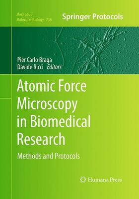 Ricci / Braga |  Atomic Force Microscopy in Biomedical Research | Buch |  Sack Fachmedien