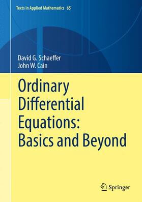 Cain / Schaeffer |  Ordinary Differential Equations: Basics and Beyond | Buch |  Sack Fachmedien