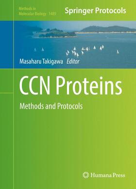 Takigawa | CCN Proteins | Buch | 978-1-4939-6428-4 | sack.de