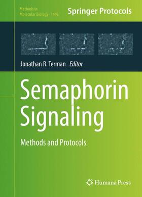 Terman |  Semaphorin Signaling | Buch |  Sack Fachmedien