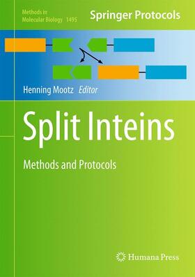 Mootz |  Split Inteins | Buch |  Sack Fachmedien