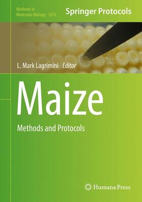 Lagrimini |  Maize | Buch |  Sack Fachmedien