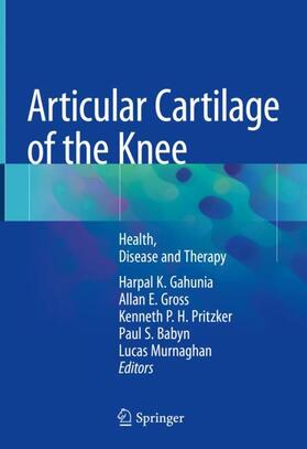 Gahunia / Gross / Murnaghan |  Articular Cartilage of the Knee | Buch |  Sack Fachmedien