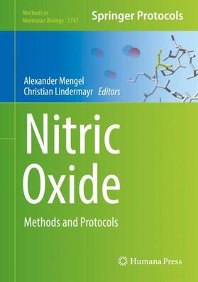Lindermayr / Mengel |  Nitric Oxide | Buch |  Sack Fachmedien