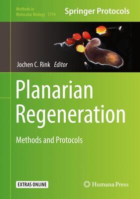 Rink |  Planarian Regeneration | Buch |  Sack Fachmedien