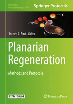 Rink | Planarian Regeneration | E-Book | sack.de