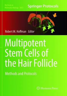 Hoffman |  Multipotent Stem Cells of the Hair Follicle | Buch |  Sack Fachmedien