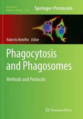 Botelho |  Phagocytosis and Phagosomes | Buch |  Sack Fachmedien