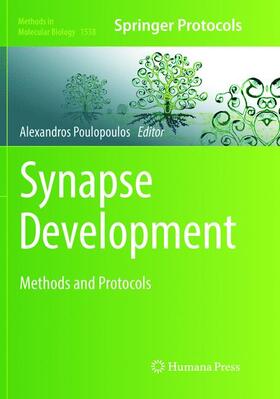 Poulopoulos |  Synapse Development | Buch |  Sack Fachmedien