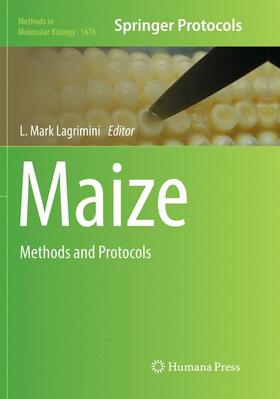 Lagrimini |  Maize | Buch |  Sack Fachmedien