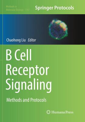 Liu |  B Cell Receptor Signaling | Buch |  Sack Fachmedien