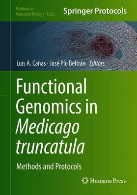 Beltrán / Cañas |  Functional Genomics in Medicago truncatula | Buch |  Sack Fachmedien