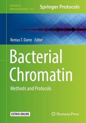 Dame |  Bacterial Chromatin | Buch |  Sack Fachmedien