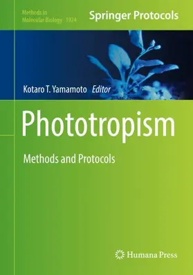 Yamamoto |  Phototropism | Buch |  Sack Fachmedien