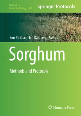 Dahlberg / Zhao |  Sorghum | Buch |  Sack Fachmedien