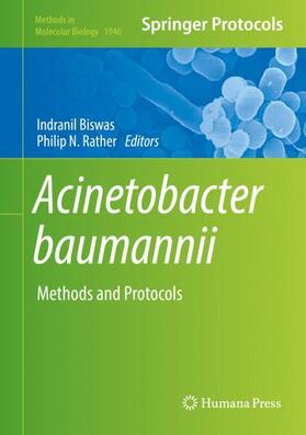 Rather / Biswas |  Acinetobacter baumannii | Buch |  Sack Fachmedien