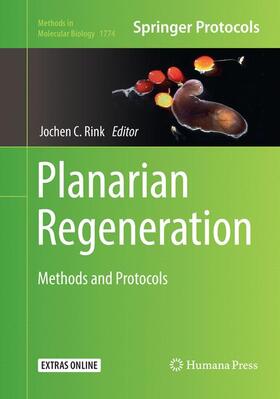 Rink |  Planarian Regeneration | Buch |  Sack Fachmedien