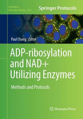 Chang |  ADP-ribosylation and NAD+ Utilizing Enzymes | Buch |  Sack Fachmedien