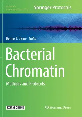 Dame |  Bacterial Chromatin | Buch |  Sack Fachmedien