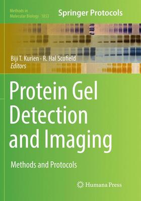 Scofield / Kurien |  Protein Gel Detection and Imaging | Buch |  Sack Fachmedien