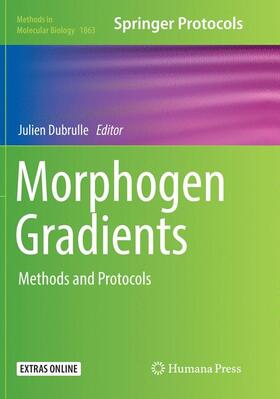 Dubrulle |  Morphogen Gradients | Buch |  Sack Fachmedien