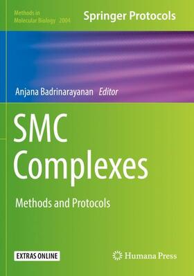 Badrinarayanan |  SMC Complexes | Buch |  Sack Fachmedien