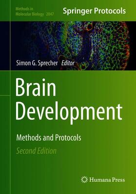 Sprecher |  Brain Development | Buch |  Sack Fachmedien