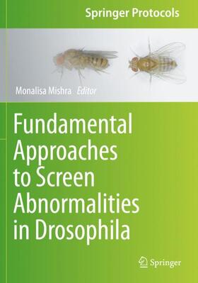 Mishra |  Fundamental Approaches to Screen Abnormalities in Drosophila | Buch |  Sack Fachmedien