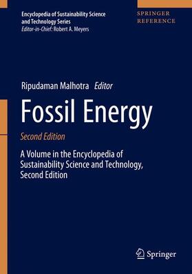 Malhotra |  Fossil Energy | Buch |  Sack Fachmedien