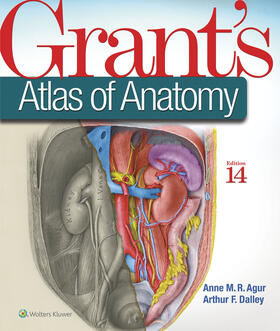 Agur / Dalley |  Grant's Atlas of Anatomy | Buch |  Sack Fachmedien