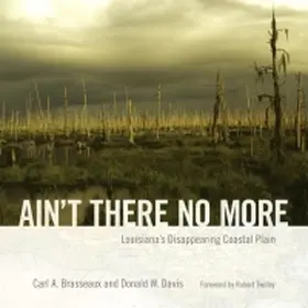 Brasseaux / Davis |  Ain't There No More | Buch |  Sack Fachmedien