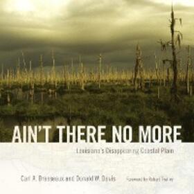 Brasseaux / Davis |  Ain't There No More | eBook | Sack Fachmedien