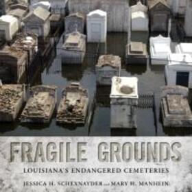 Schexnayder / Manhein |  Fragile Grounds | Buch |  Sack Fachmedien