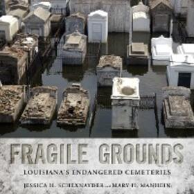 Schexnayder / Manhein |  Fragile Grounds | eBook | Sack Fachmedien
