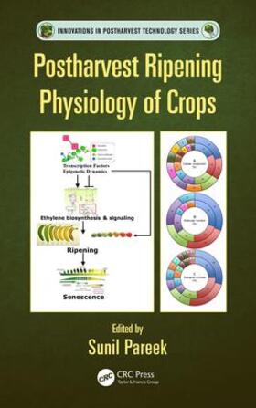 Pareek |  Postharvest Ripening Physiology of Crops / Edited by Sunil Pareek | Buch |  Sack Fachmedien