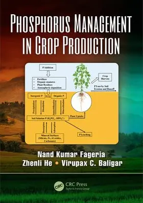 Fageria / He / Baligar |  Phosphorus Management in Crop Production | Buch |  Sack Fachmedien