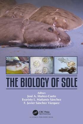 Munoz-Cueto / Mañanós-Sánchez / Sánchez-Vázquez |  The Biology of Sole | Buch |  Sack Fachmedien