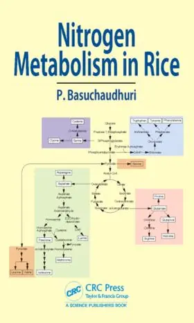 Basuchaudhuri |  Nitrogen Metabolism in Rice | Buch |  Sack Fachmedien