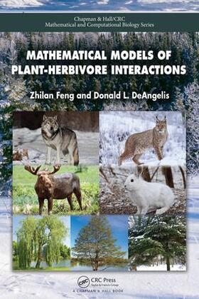 Feng / DeAngelis |  Mathematical Models of Plant-Herbivore Interactions | Buch |  Sack Fachmedien