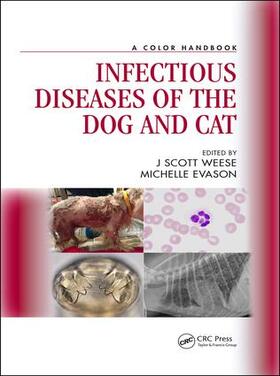 Weese / Evason |  Infectious Diseases of the Dog and Cat | Buch |  Sack Fachmedien