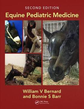 Bernard / Barr |  Equine Pediatric Medicine | Buch |  Sack Fachmedien