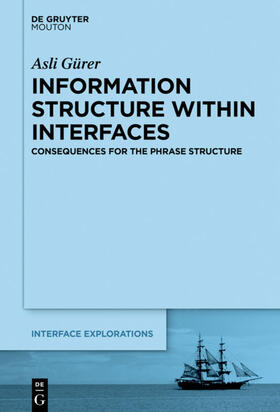 Gürer |  Information Structure Within Interfaces | eBook | Sack Fachmedien